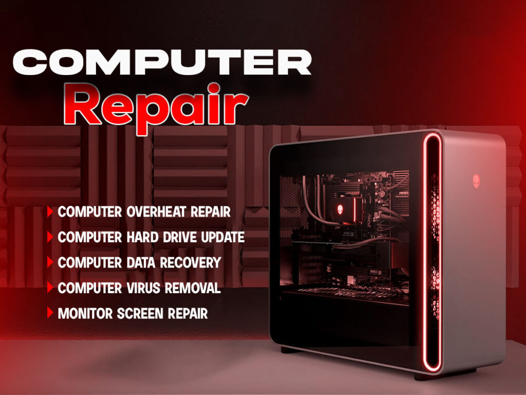 Computer Repair Eagle ID